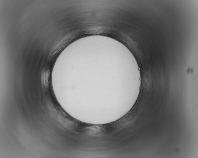 X0000111530118200908111236