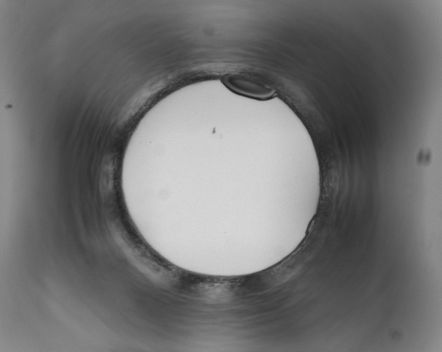 X0000111530120200908111236