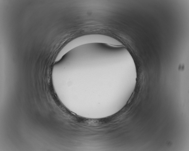 X0000111530121200908111236