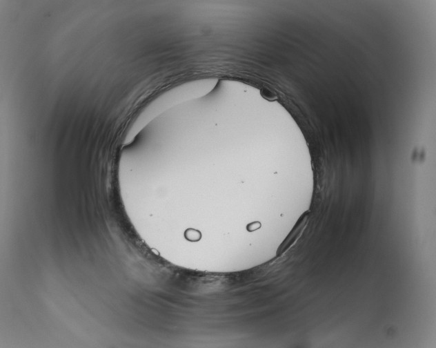 X0000111530124200908111236