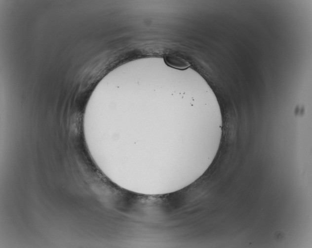 X0000111530125200908111236