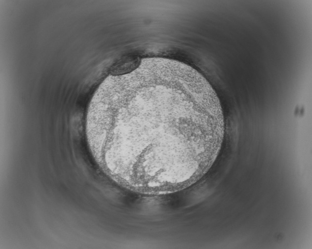 X0000111530127200908111236