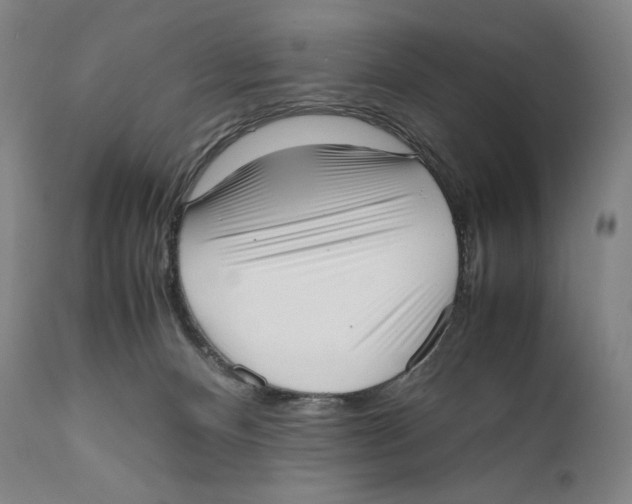 X0000111530128200908111236