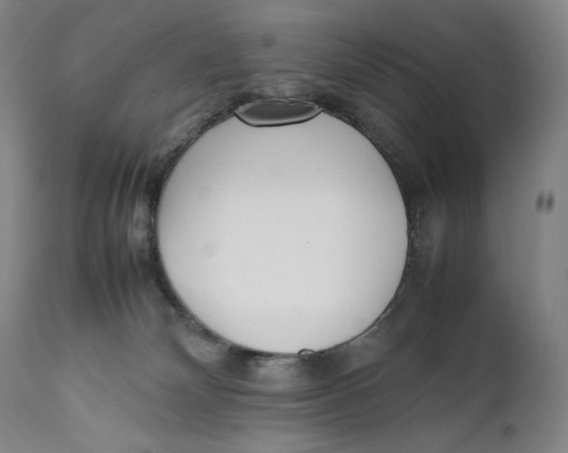 X0000111530132200908111236