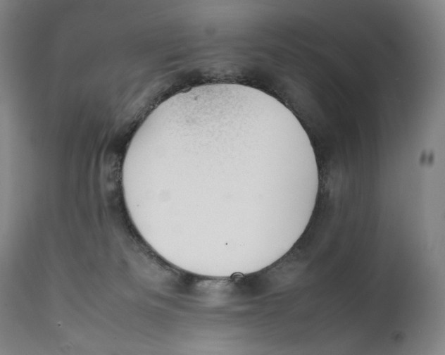 X0000111530133200908111236