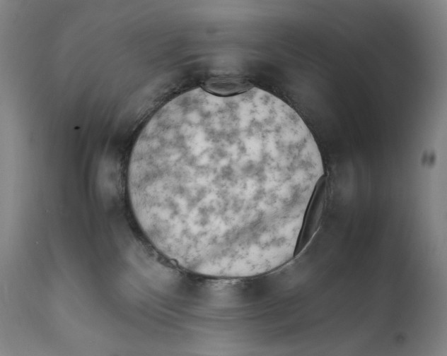 X0000111530136200908111236