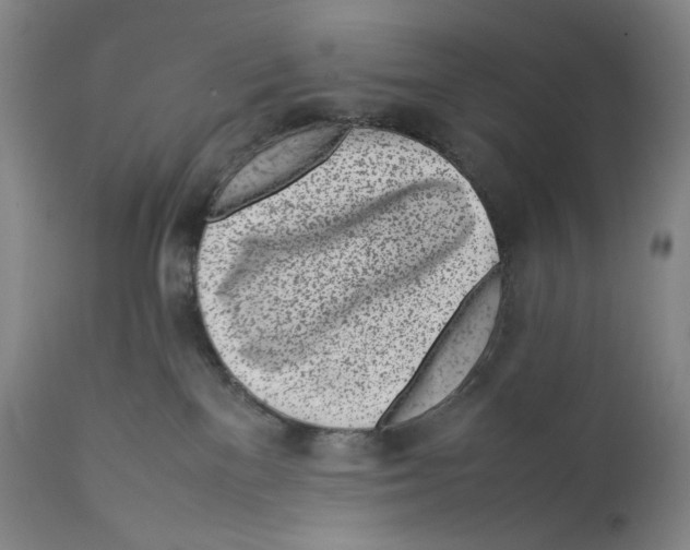 X0000111530137200908111236