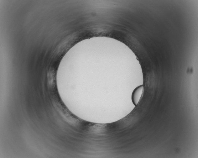 X0000111530138200908111236