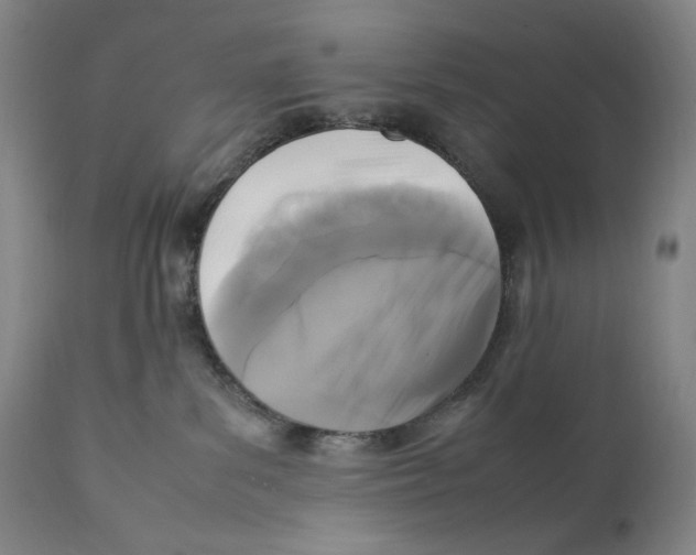 X0000111530139200908111236