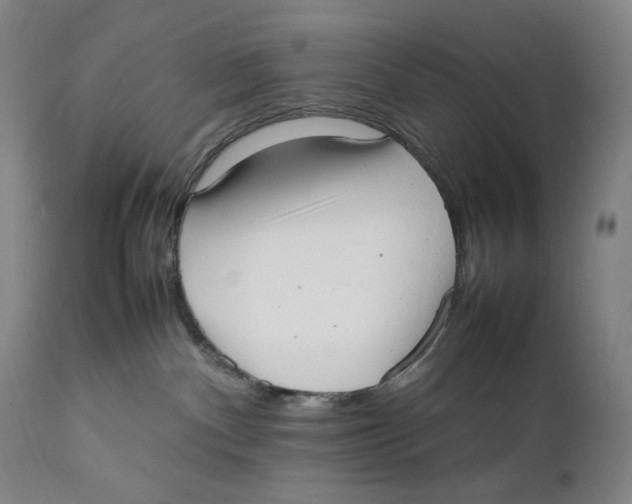 X0000111530140200908111236