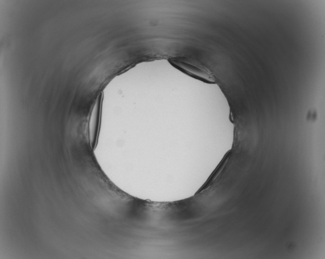 X0000111530141200908111236