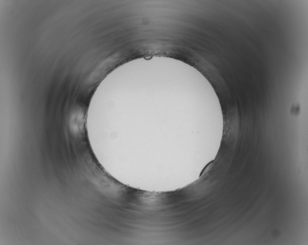 X0000111530142200908111236