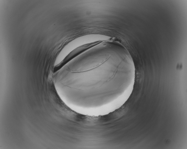 X0000111530143200908111236