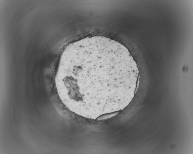 X0000111530144200908111236