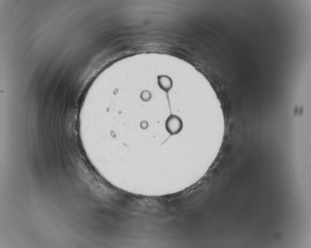 X0000111530146200908111235