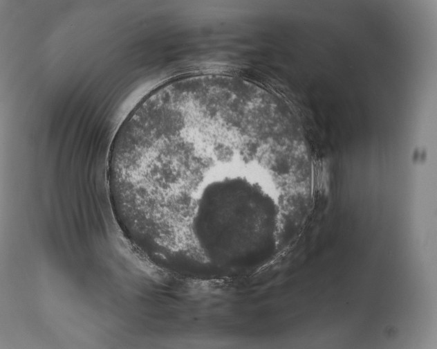 X0000111530147200908111235