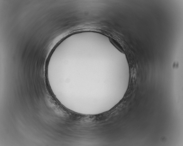 X0000111530148200908111235