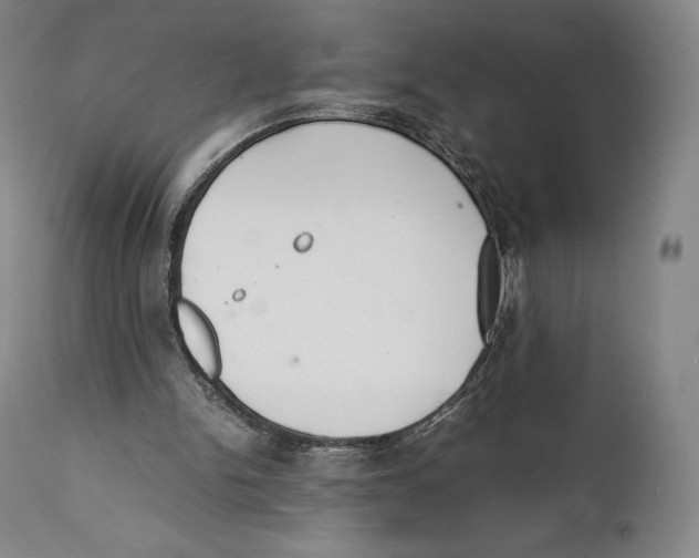 X0000111530150200908111235