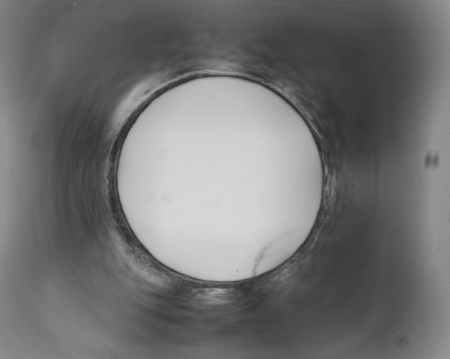 X0000111530151200908111235