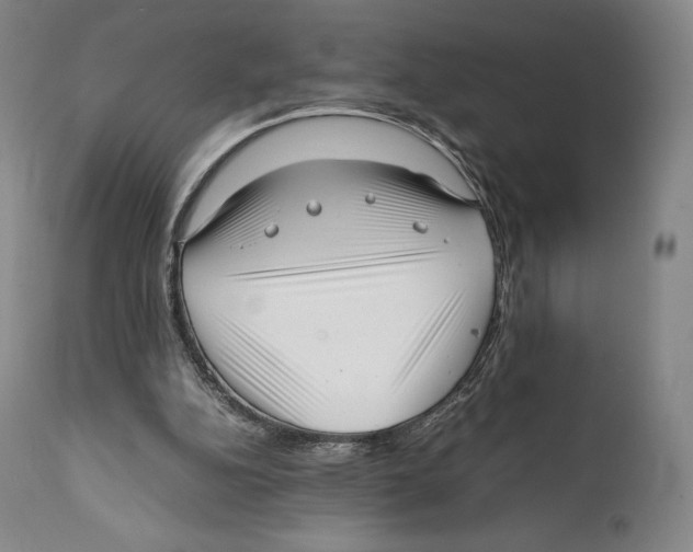 X0000111530152200908111235