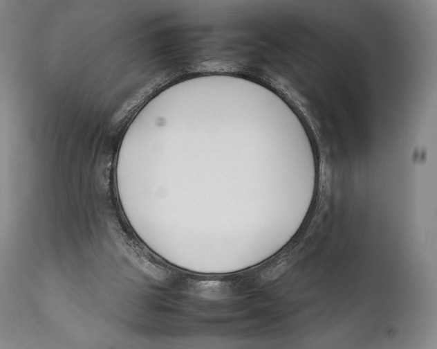 X0000111530153200908111235