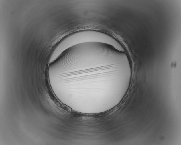 X0000111530154200908111235