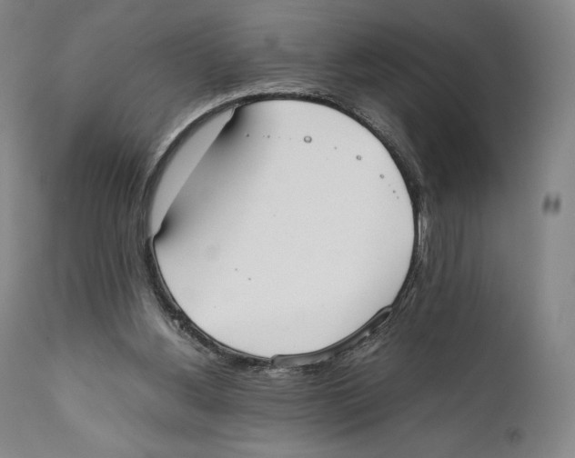 X0000111530156200908111235