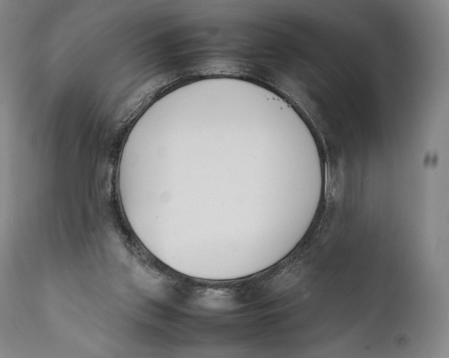 X0000111530157200908111235