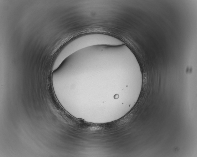 X0000111530158200908111235