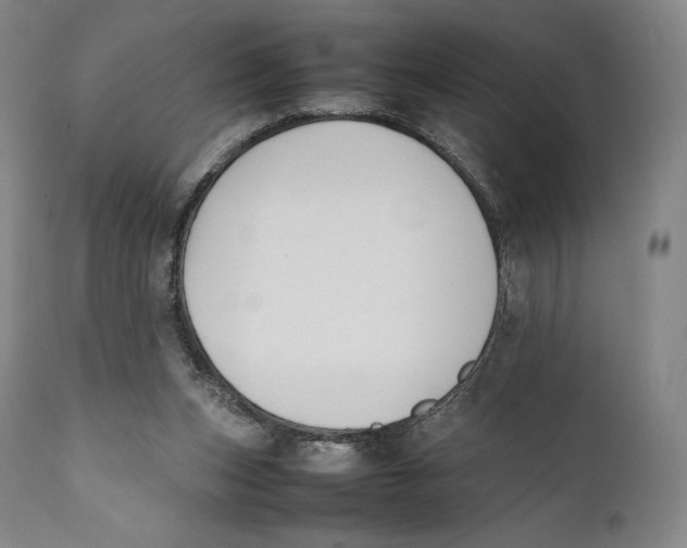 X0000111530159200908111235