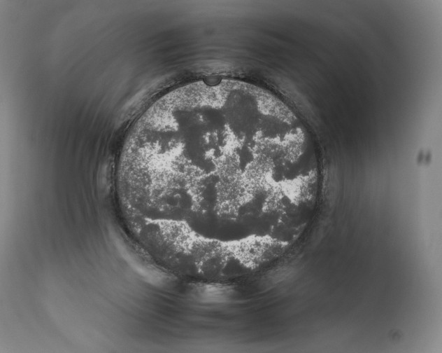 X0000111530165200908111235