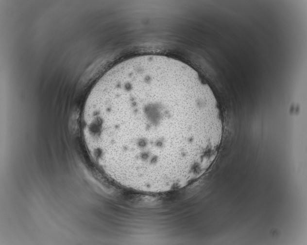 X0000111530166200908111235