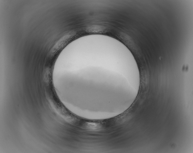 X0000111530167200908111235