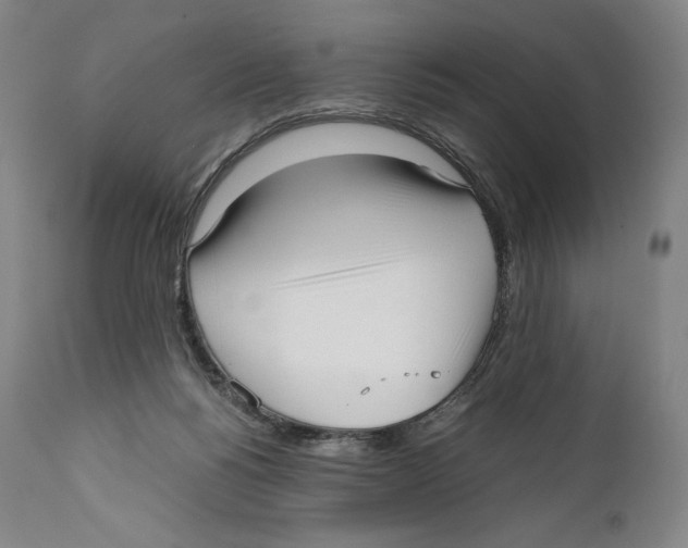 X0000111530168200908111235