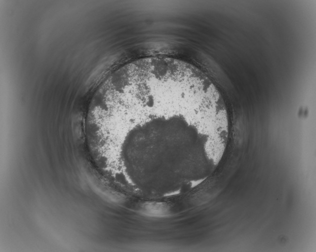 X0000111530169200908111235