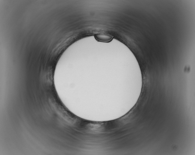 X0000111530170200908111236