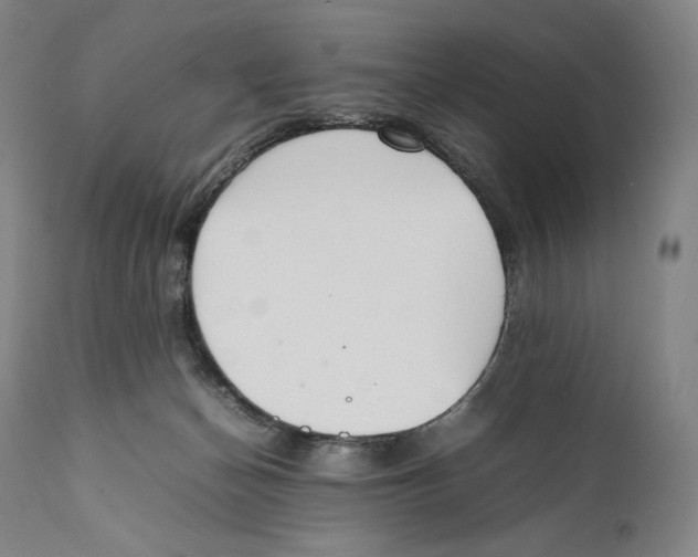 X0000111530174200908111236