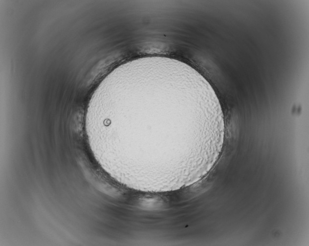 X0000111530175200908111236