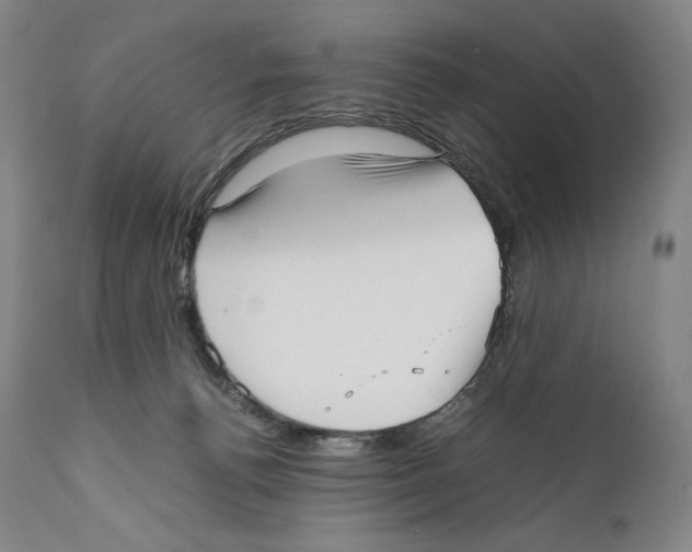 X0000111530176200908111236