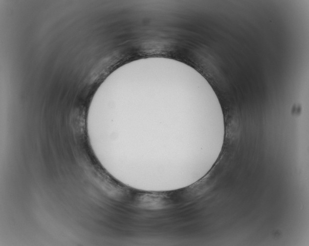 X0000111530179200908111236