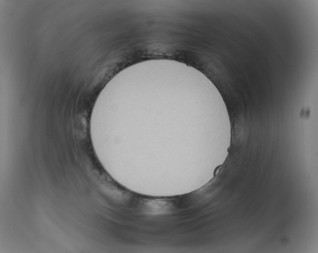 X0000111530183200908111236