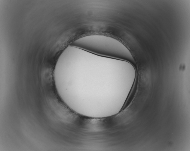 X0000111530184200908111236