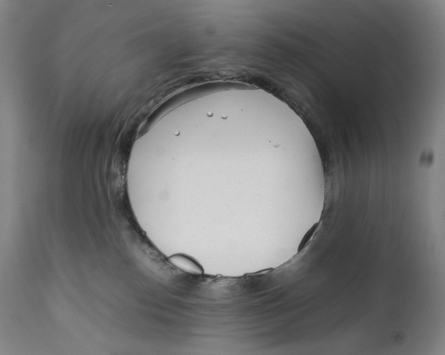 X0000111530186200908111236