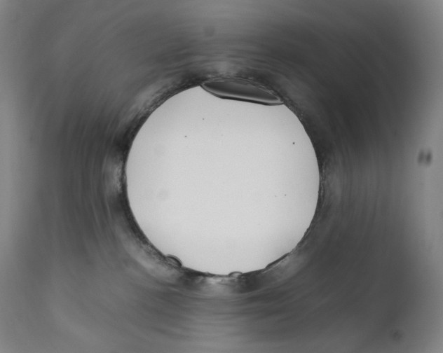 X0000111530188200908111236