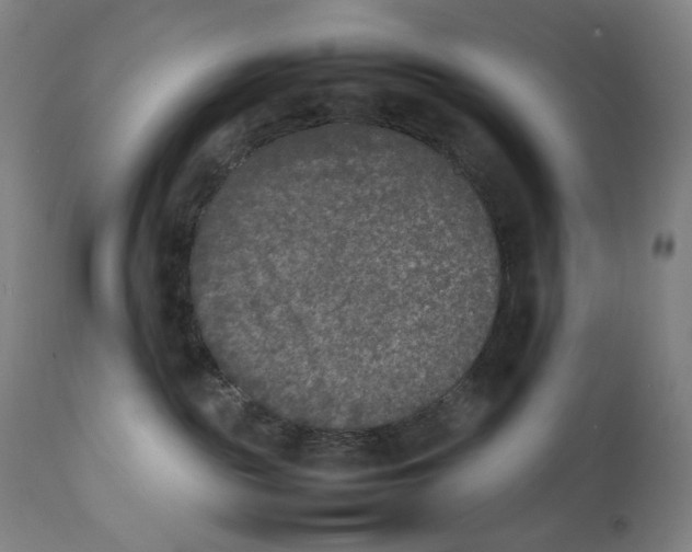 X0000111530189200908111236