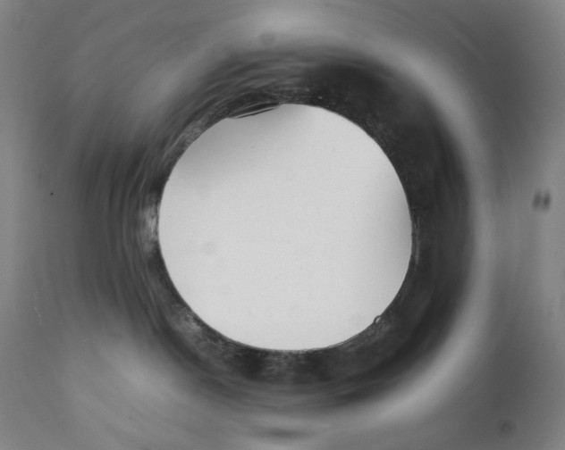 X0000111530190200908111236