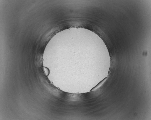 X0000111530191200908111236