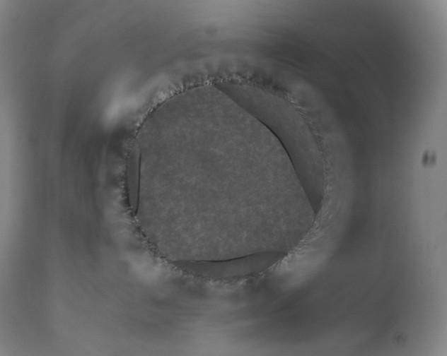 X0000111530192200908111236