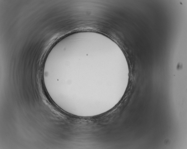 X0000111530193200908111235