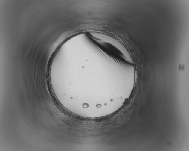 X0000111530195200908111235